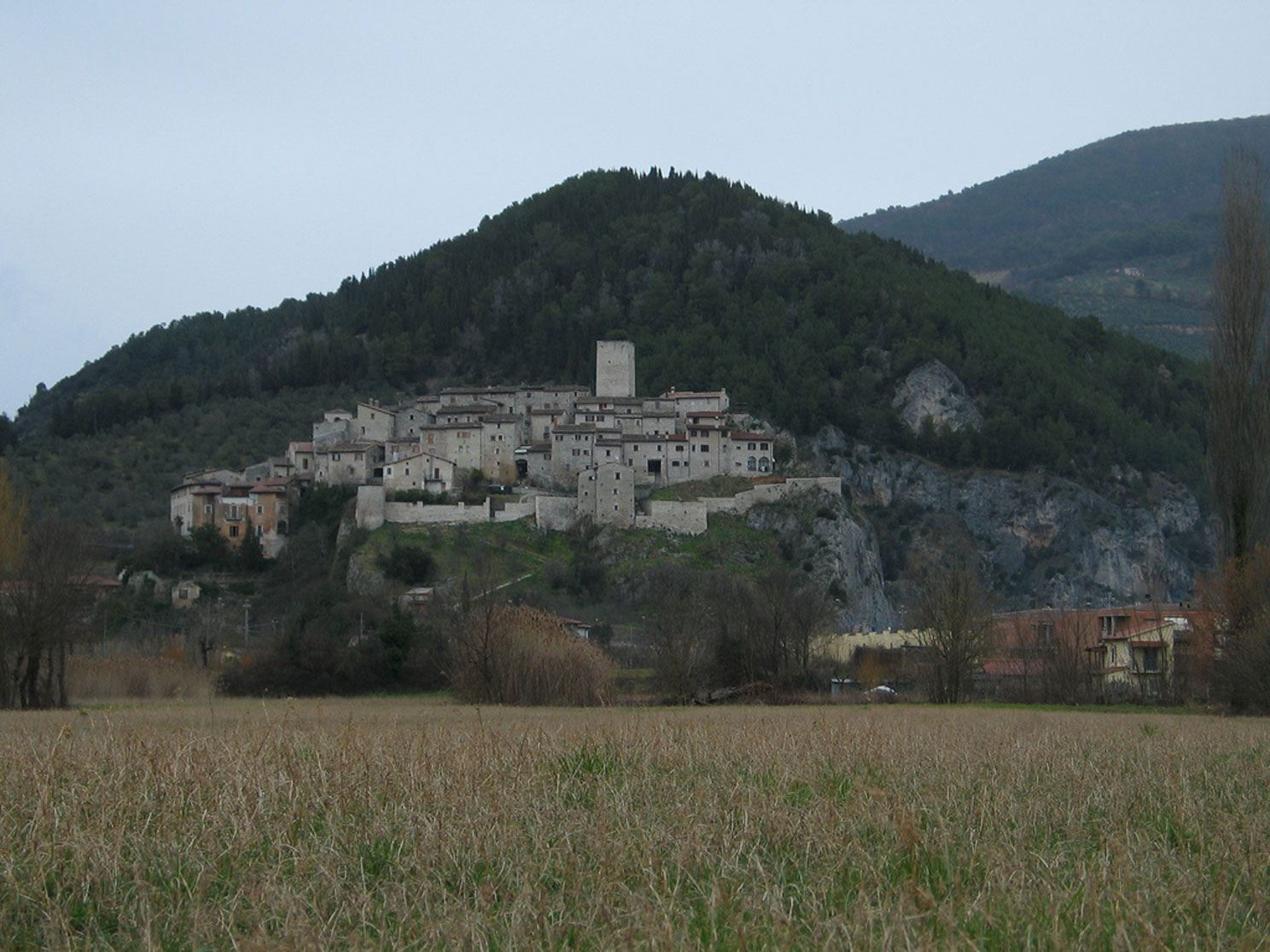 Image 0